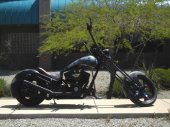 2010 Bourget Citizen Soldier III photo